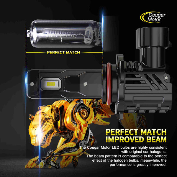 Cougar-2000x2000-kv3-